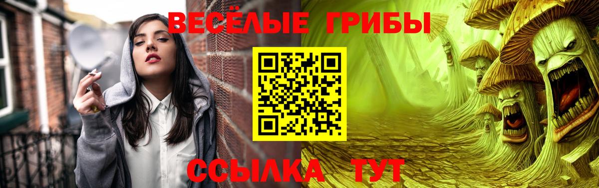 Галлюциногенные грибы мухоморы  Псилоцибиновые грибы мухоморы  Белово  Вход с VPN 
